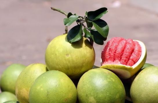 mơ ăn bưởi đắng đánh con gì