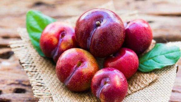Mơ ăn mận đánh đề con gì cho thắng đậm